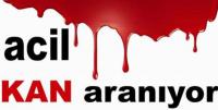 ACELE KAN ARANIYOR