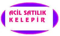 TÜRK TELEKOM: ARSA SATILIR