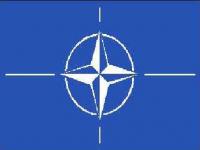 TÜRK TELEKOM DEVE Mİ KUŞ MU?