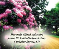 O. ÇEVİK'İN BABASI VEFAT ETTİ