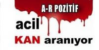 ACELE KAN ARANIYOR