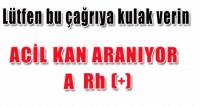 ACELE KAN ARANIYOR