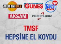 TMSF 10 ŞİRKETE EL KOYDU