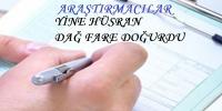 ARAŞTIRMACILARDA KISMİ İYİLEŞTİRME(?)