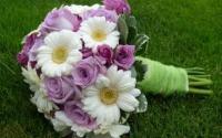 ÜÇ MUTLU OLAY